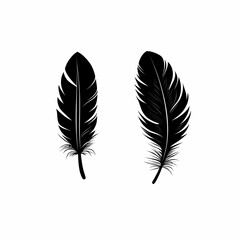 Fototapeta premium Elegant Black Feathers. Minimalist Silhouette Illustrations for Nature-Inspired Art & Design