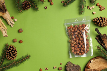 Peeled hazelnuts in bag, cones and branches on green background, space for text