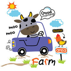 Obraz premium Cartoon cow driving a car with a rooster and 