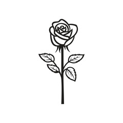 Rose Outline with Stem and Leaves on a Transparent Background