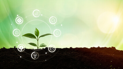 environment concept, bubbles protect plants in nature, and environment icons around bubbles .Green...