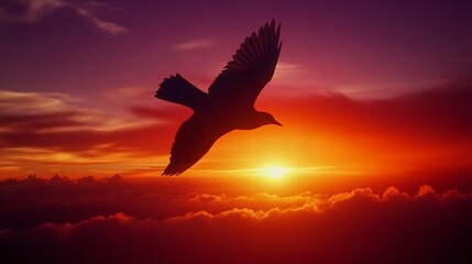 Naklejka premium Bird flying across sky sunset wing outstretched full flight bird dark silhouette contrast against fiery orange red purple hue of setting sun scene capture sense of freedom movement soft cloud