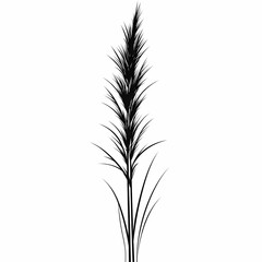 Elegant Black and White Botanical Illustration: Pampas Grass Silhouette for Home Decor and Fine Art