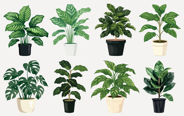 Obraz premium Diverse potted plant illustrations, isolated element set vector