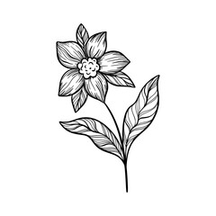 Cute line art leaf icon illustration