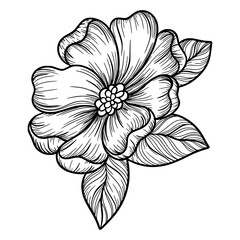 Cute line art leaf icon illustration