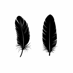 Elegant Black Feathers Illustration - Nature-Inspired Vector Art for Chic Home Decor