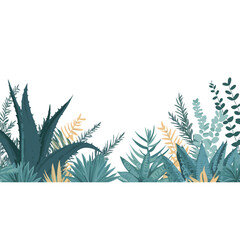 Aloe Vera and succulents as the bottom border illustration plants leaves vector