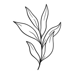 Fototapeta premium Cute line art leaf icon illustration