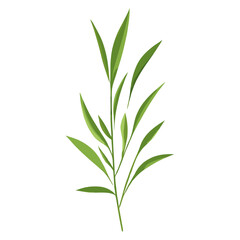 Flat vector of wild grass leaf illustration green vector