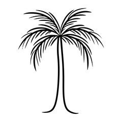 Obraz premium Palm tree illustration drawing art vector