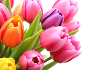 bunch of colorful tulips in a vase on a white background