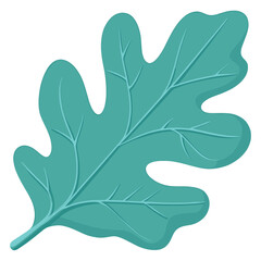 Obraz premium Green rounded oak leaf illustration vegetable botanical vector