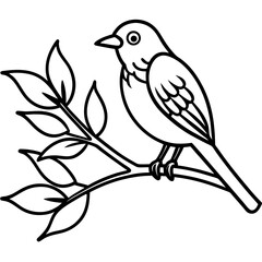 bird on a branch