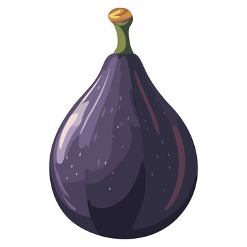 purple fig fruit isolated white background clip art preview