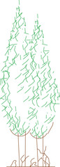 Spruce trees are evergreen conifers known for their tall, pyramid-like shape and sharp, needle-like leaves.
