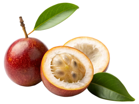 Marula Fruit with Kernel – African Superfood isolated on white background. Suitable for marketing or business purposes. PNG file