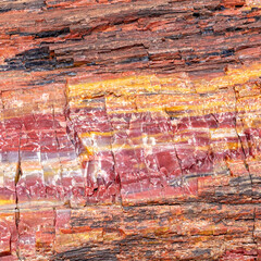 Colorful Close-Up of Petrified Wood Layers