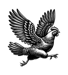 Obraz premium A Chicken Running Freely, Looking Energetic, Expressing Speed and Motion in the Dark Background