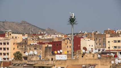 Cell phone tower disguised at a palm tree in an overhead view of the medina, in Fez, Morocco