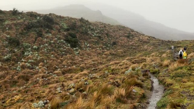 hikers in the paramo mountains