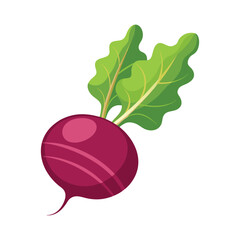 Isolated ripe red grapes, a sweet and healthy fruit with a green leaf, bunch, and vine illustration