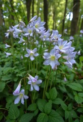 Naklejka premium Delicate Campanula blossoms nestled amongst lush green foliage and trees, campanula glomerata, rural, spring