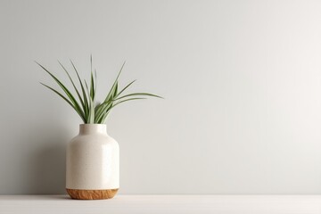 minimalistic image of sunlit living space with biophilic design elements like natural wood and green plants