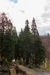 部屋の窓から見る新潟県の里山。
晩秋で紅葉している。
雨が降っているが、それがしっとりとした良い雰囲気である。
十日町の山奥の鄙びた温泉地の里山の風景。
美しい棚田も特徴的。
あいにくの小雨交じりだが、しっとりと雪国特有の雰囲気がある。
晩秋なので各所で紅葉が見られる。
新潟県十日町市 - 2024年12月1日
