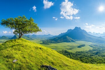 Obraz premium Tree is growing on a hillside in a lush green field