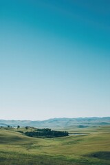 Fototapeta premium serene untouched landscape of nature reserve or park with sweeping open views