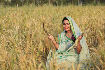 Indian young woman farmer harvesting and showing wheat crop at agriculture field. female labor working in farmland in rural india. Baisakhi. © GAJENDRRA BHATI 