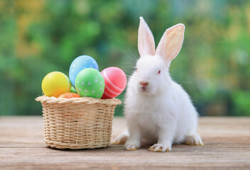 Bunny easter fluffy rabbit eating food, vegetables, carrots, baby corn on green garden nature flowers background on sunny day, Lovely mammal with bright eyes in nature life. Symbol of easter day.