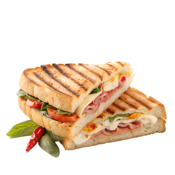 Delicious toasted panini sandwich isolated on white background