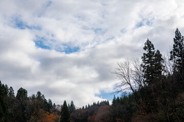 美しい棚田。
十日町の山奥の鄙びた温泉地の里山の風景。
美しい棚田も特徴的。
あいにくの小雨交じりだが、しっとりと雪国特有の雰囲気がある。
晩秋なので各所で紅葉が見られる。
新潟県十日町市 - 2024年12月1日
