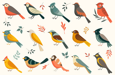 Colorful Exotic and Native Birds Collection - Vector Set