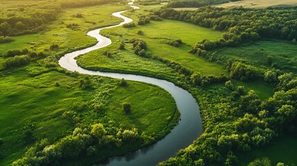 Beautiful Aerial View of Winding River Snaking Through Green Meadows and Forests. Graceful Curves and Serene Tranquility in Rich Natural Scenery.