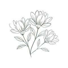 Sketch floral botany vector illustration. Hand-drawn botanical flower elements with vintage aesthetic and delicate line art style
