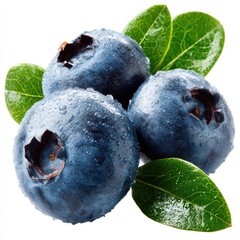 Obraz premium Fresh blueberries with leaves on white background