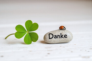 ladybug sitting on top of a rock next to a four leaf clover