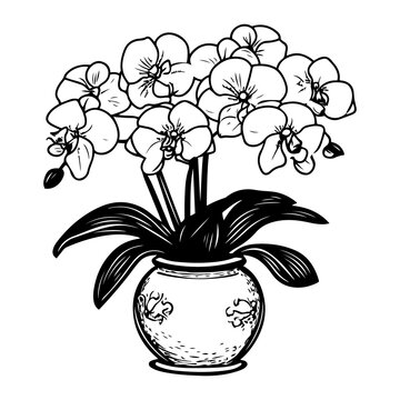 recommend clip art: Orchids sketch. hand drawn orchid outline illustration. Orchid black and white vector drawing. orchid branch isolated on white background. Floral sketch. vector illustration. Orchid line art drawing