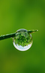  Droplet Magnifies Grass Blade with Inverted Landscape, Nature's Miniature Mirror Creating Prismatic Effects.