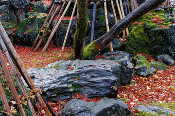 境内の紅葉。
雪吊（積雪から木を守る紐で作られた雪覆い）。
駅前にある大きな寺院。智泉寺。
境内には多くの古い地蔵等の石像が置かれている。
誰でも自由に拝観することができる。
新潟県十日町市 - 2024年12月1日
