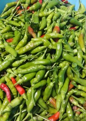 green pepper. background with spices, vegetables