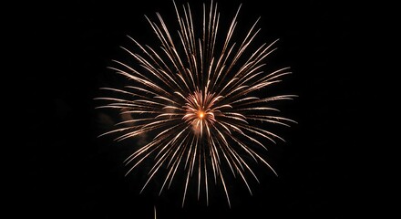 Fireworks background. 4th of July. Independence. For Background.