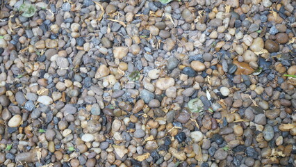 The ground is paved with dark blue and black pebbles