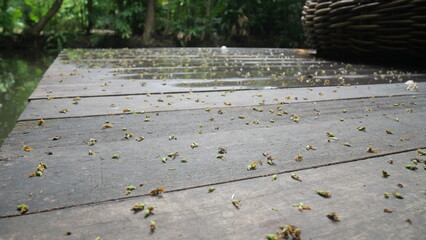 A wooden boardwalk wet from the rain, scattered with fallen leaves, evoking a feeling of loneliness