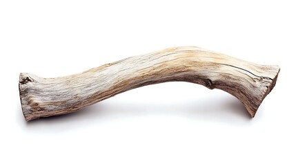 Piece of dry wood branch