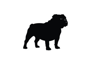 Bull dog silhouette. This image portrays a muscular bull dog profile, also referred to as a bulldog or robust canine. Vector clipart black illustration design.