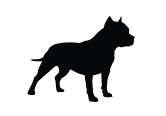 Pitbull dog silhouette. This image shows a black silhouette of a Pitbull dog standing, also referred to as a muscular canine or loyal companion. Vector clipart black illustration design.